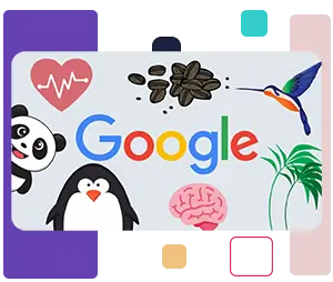 الگوریتم های گوگل و آپدیت جدید helpful content
