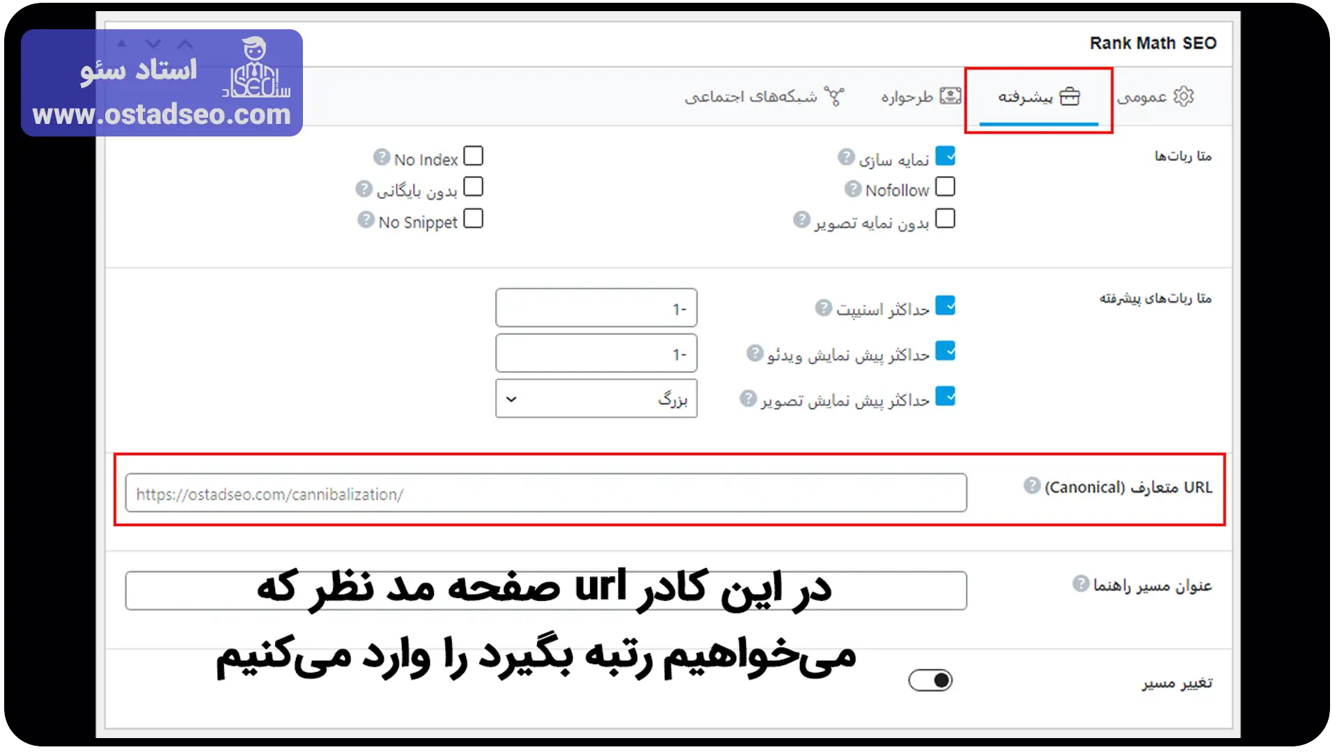 استفاده از تگ کنونیکال برای رفع کنیبالیزیشن در رنک مث