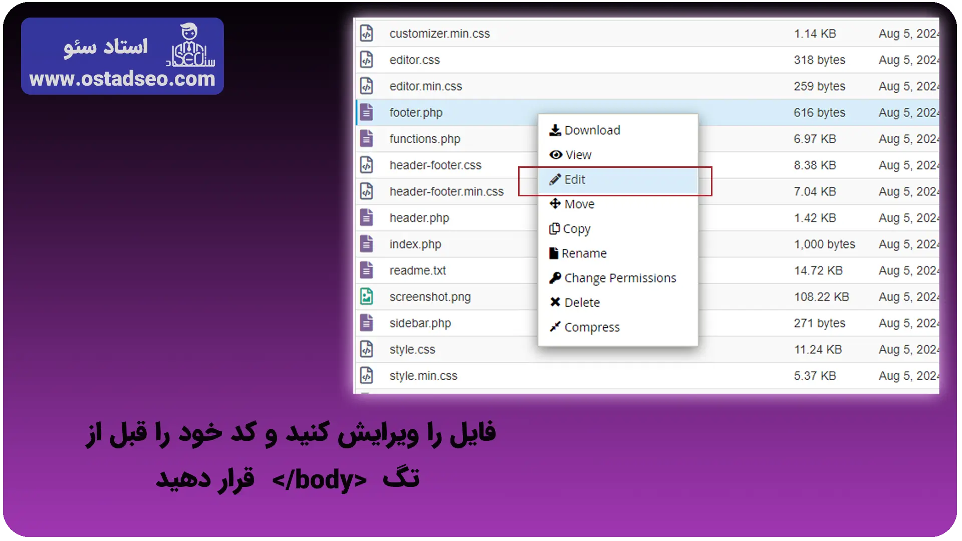 قراردان مستقیم کد برای رفع خطای 403 کد سفارشی المنتور