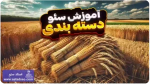 آموزش سئو کردن صفحات دسته بندی