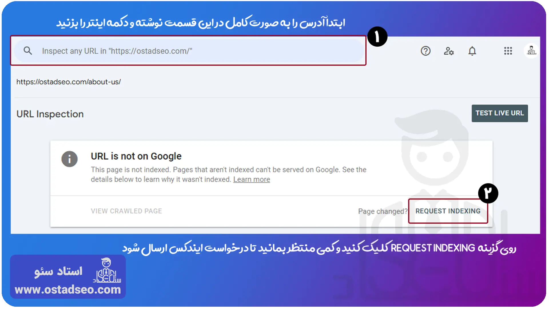 ایندکس دستی سایت در سرچ کنسول