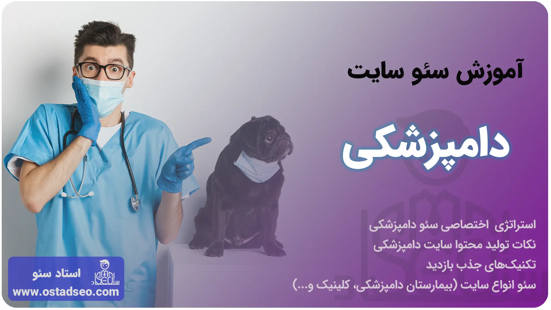 سئو سایت دامپزشکی - از کلینیک تا بیمارستان